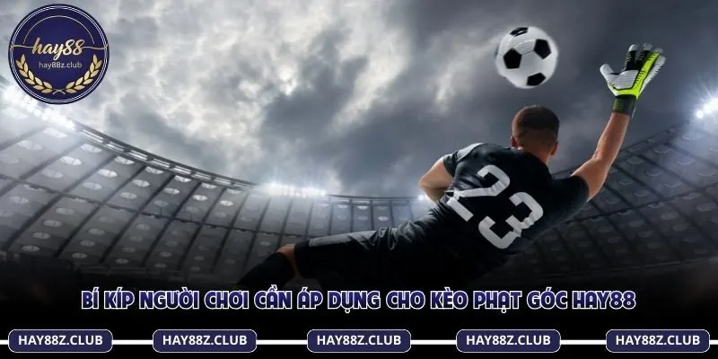 Người chơi cần nắm thông tin đội bóng để cược chuẩn xác