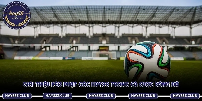 Kèo phạt góc hạn chế các yếu tố bất ngờ khi đặt cược