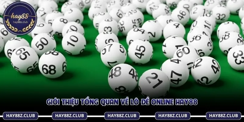 Giới thiệu tổng quan về lô đề online Hay88