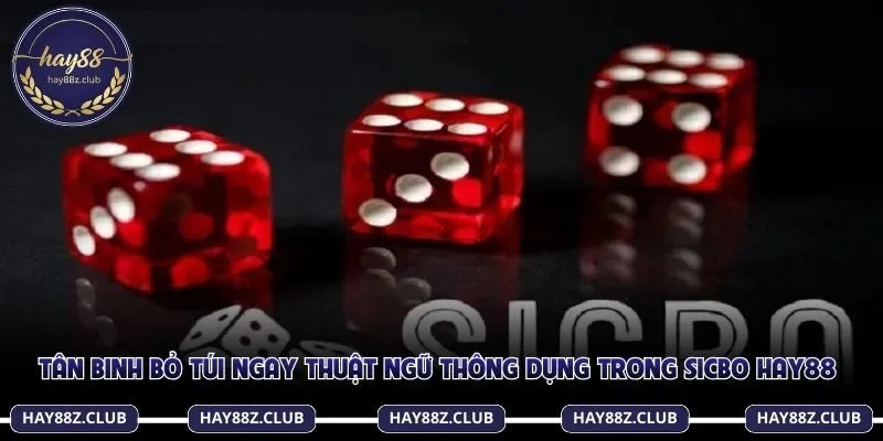 Thuộc lòng thuật ngữ Sicbo Hay88, nắm chắc tiền thưởng trong tay