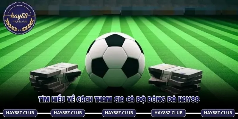 Tìm hiểu về cách tham gia cá độ bóng đá Hay88