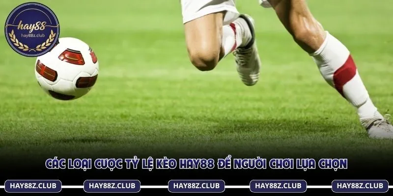 Nhiều hình thức tỷ lệ kèo Hay88 để người chơi lựa chọn