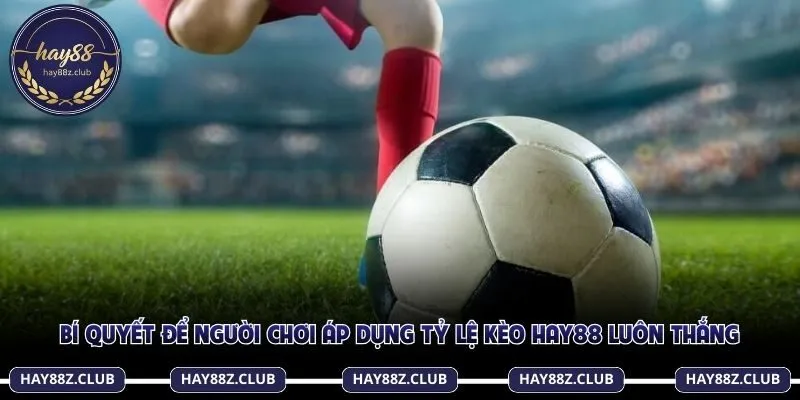 Nắm rõ các thông tin tỷ lệ kèo Hay88 trước khi đặt cược