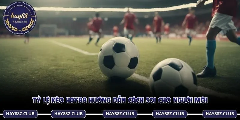 Tỷ lệ kèo Hay88